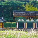 신광사 이미지