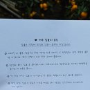 햇살봉봉 | 귤이봉봉 제주 햇살 가득 머금은 달콤한 노지감귤 후기 🍊