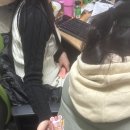 마왕족발 무안남악점 | 3) 12. 먹방 일상