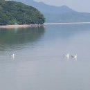 황금펜션민박 이미지