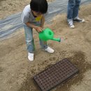 숲속마을어린이집 이미지