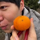 I.Space 편의점 | 새해가 밝았습니다 33일 전에