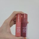 까페 더봄 | [내돈내산]품절대란 다이소 틴트 추천, 단돈 2천원 더봄 베일틴트, 듀이틴트 찐사용기