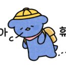 다님여행사