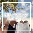 대오팜 | W12) 신혼여행지 추천ෆ패키지 상담후기