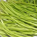 후계자주말농장 이미지