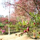 완산-119 이미지