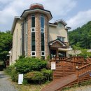 리틀포레 이미지