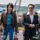 플러스파인