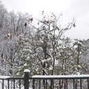 진안마원 이미지