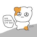 견생혼 | 오늘 뭐 먹지로 시작하는 신혼부부의 일상