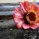 마음의 양식 이미지