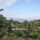 매산농원 이미지