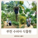 삼산체육관역 1번 출구 | 아기랑 부천 수피아식물원, 두번째 방문 솔직후기 (예매/할인정보)