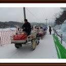 청양 칠갑산 천장리 알프스마을 얼음축제 청암 이미지
