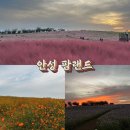 그늘막1 | 안성시 수도권에서 자연을 느끼는 그림같은 핑크뮬리 초원 ‘안성팜랜드’ 50%할인 (입장료/팁/후기)