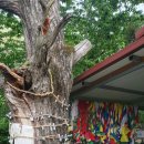 수정로120번길 이미지