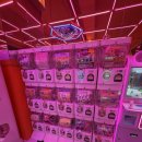 인형뽑기방(노리터) | [일상] 대전 관평동 인형뽑기방 캐치팡팡 내돈내산 방문 후기(6천원에 4개 겟!)
