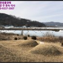 지방도905호선1 이미지