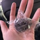 학동애펜션 이미지