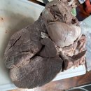 황해도순대 이미지