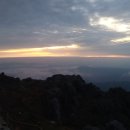 국골민박 이미지