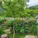 대청농장 네이버블로그