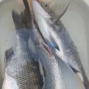 대림민박 이미지