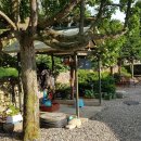 별이네 민박 이미지