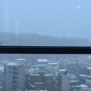 세븐일레븐삼척새천년점 | 12.30. [삼척여행] 강원도에서 맞이한 24년 새해🌅