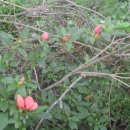 서당공원 화장실 이미지