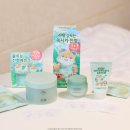 한율농장 | 한율 어린쑥X이슬로 콜라보 기획 어린쑥크림&amp;패드 풍성해! 올리브영 수분진정 크림 추천