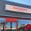 경상국립대학교병원노동조합 | 진주 고속버스터미널 근처 맛집 추천! 오데가든에서 점심 모임 다녀온 솔직 후기