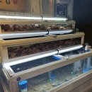 양정1동-16 이미지