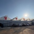 성연2로 | 일산 딸기체험 아이랑 다녀온 후기 성연딸기2농장 실내 체험 비용 예약방법