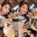 분당 율동공원 애견동반 카페 파스꾸찌 센트로 율동공원점 🐶내돈내산 방문후기 + 40%할인 이벤트