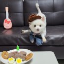 뽀미정육점