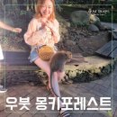 지안포레스트 | 발리 우붓 몽키포레스트 후기, 원숭이들과 특별한 만남, 아이들과 가볼 만한 곳