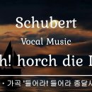 작곡가이야기_#22-17 슈베르트(Schubert) ＜슈베르티아드(Schubertiad)＞ 이미지