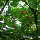덕성산 정상 이미지