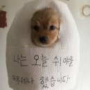 카페 메뉴 디저트 이미지