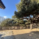 (주)해미 | 해미읍성 방문 후기!