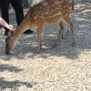 켄싱턴리조트 설악밸리