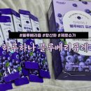 통째로 간 과즙가득 항산화 하루하나블루베리퓨레 추천 후기