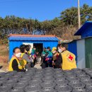 보령적십자봉사관 이미지