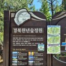 천년의 숲 화장실 이미지