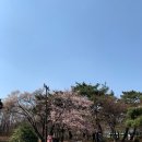 봄이왔나BOM 이미지