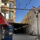 혜민약국 | 이집트 카이로에서 광견병 맞기!