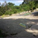 뚝방흑염소 이미지