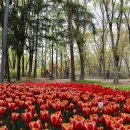 양재주차장 이미지